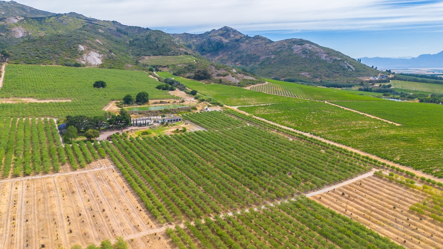 4 Bedroom Property for Sale in Paarl Rural Western Cape